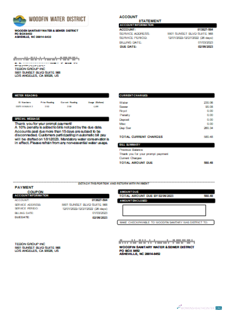 Download Woodfin Sanitary Water & Sewer District utility business bill, SCR Photoshop template